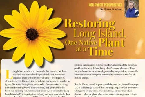 Restoring Long Island, One Native Plant at a Time